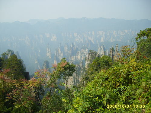 天子山顶遥望